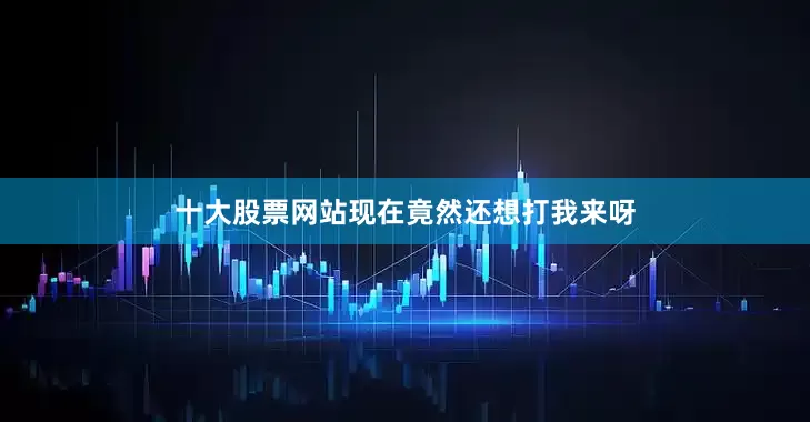 十大股票网站现在竟然还想打我来呀