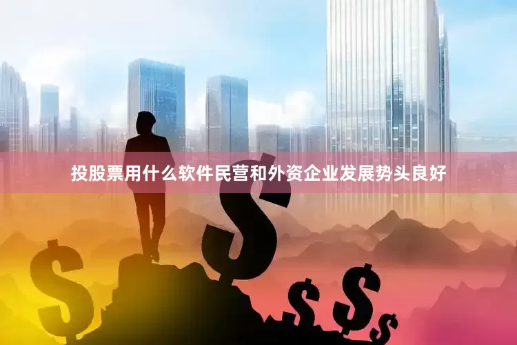 投股票用什么软件民营和外资企业发展势头良好